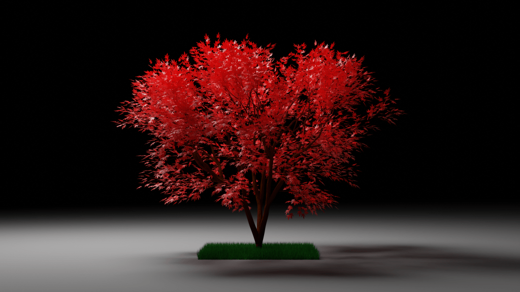 Tree in the&nbsp;wind